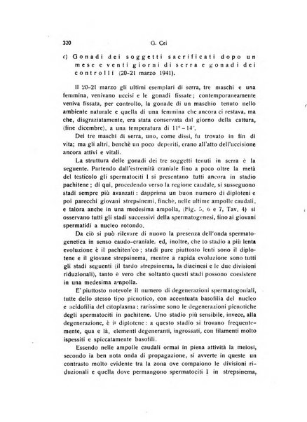 Archivio zoologico italiano pubblicato sotto gli auspicii della Unione Zoologica