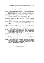 giornale/TO00209791/1942/unico/00000345