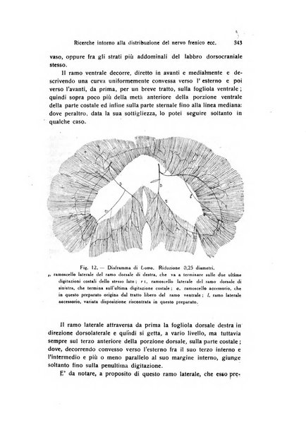 Archivio zoologico italiano pubblicato sotto gli auspicii della Unione Zoologica