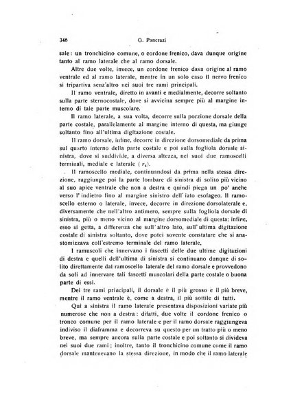 Archivio zoologico italiano pubblicato sotto gli auspicii della Unione Zoologica