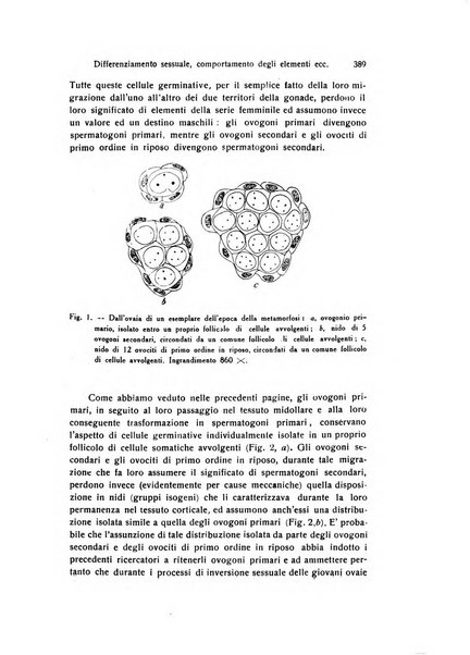 Archivio zoologico italiano pubblicato sotto gli auspicii della Unione Zoologica