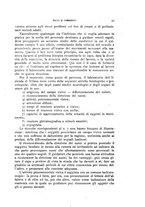 giornale/TO00209892/1926/unico/00000041