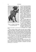 giornale/TO00210391/1931/unico/00000482