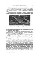 giornale/TO00210391/1932/unico/00000347