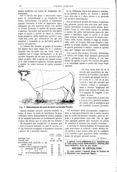 L' Italia agricola giornale di agricoltura