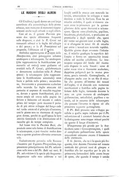 L' Italia agricola giornale di agricoltura