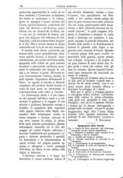 L' Italia agricola giornale di agricoltura