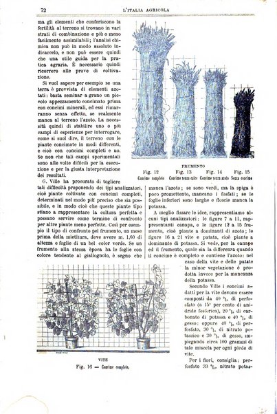 L' Italia agricola giornale di agricoltura