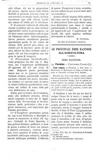 L' Italia agricola giornale di agricoltura