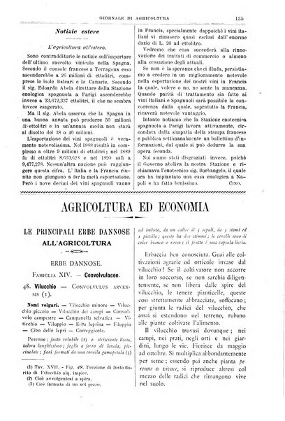 L' Italia agricola giornale di agricoltura