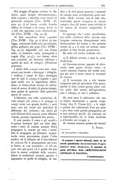 L' Italia agricola giornale di agricoltura