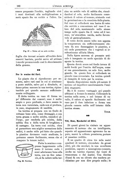 L' Italia agricola giornale di agricoltura