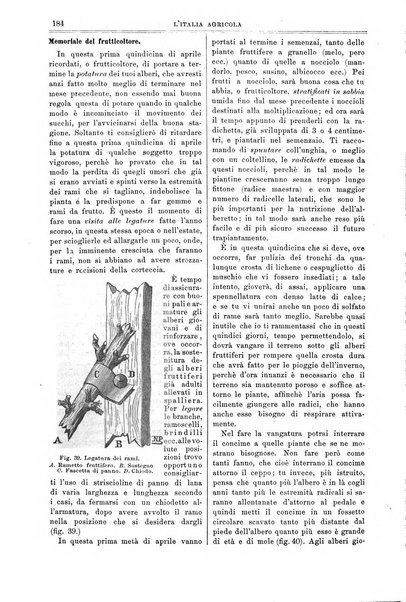 L' Italia agricola giornale di agricoltura