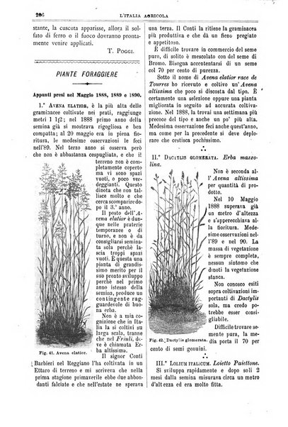 L' Italia agricola giornale di agricoltura