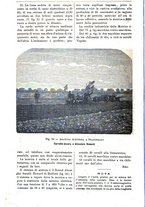 giornale/TO00210416/1891/unico/00000300