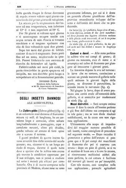 L' Italia agricola giornale di agricoltura