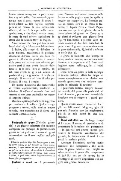 L' Italia agricola giornale di agricoltura