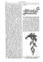 giornale/TO00210416/1891/unico/00000378