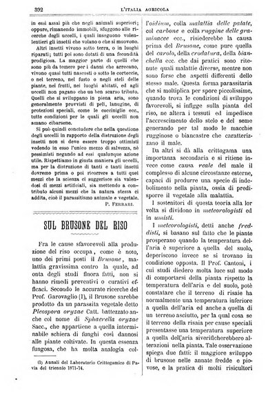 L' Italia agricola giornale di agricoltura