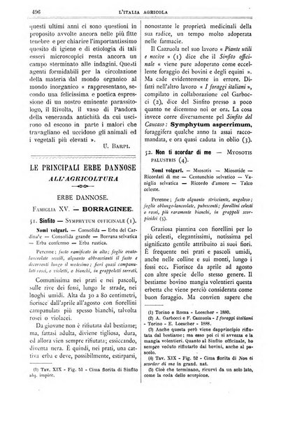 L' Italia agricola giornale di agricoltura