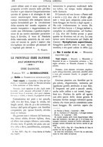 giornale/TO00210416/1891/unico/00000500