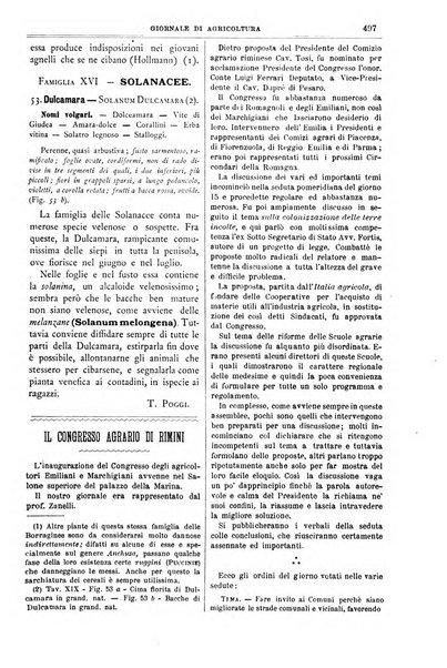 L' Italia agricola giornale di agricoltura