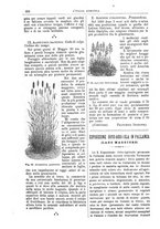 giornale/TO00210416/1891/unico/00000560