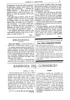 giornale/TO00210416/1892/unico/00000031