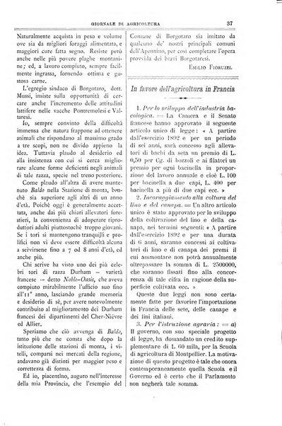 L' Italia agricola giornale di agricoltura