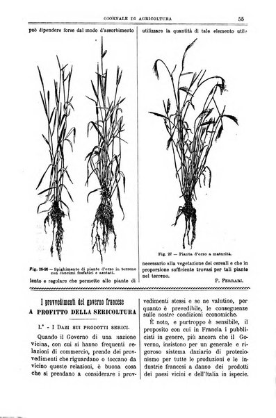 L' Italia agricola giornale di agricoltura