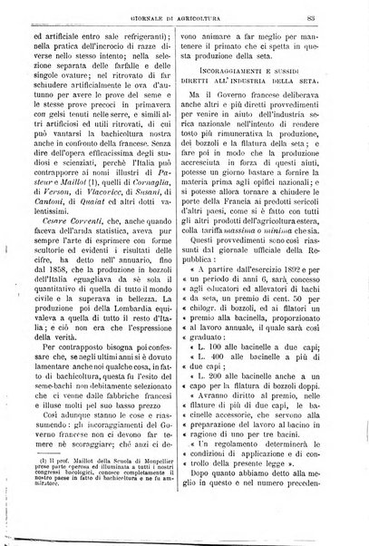 L' Italia agricola giornale di agricoltura