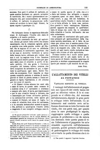 L' Italia agricola giornale di agricoltura