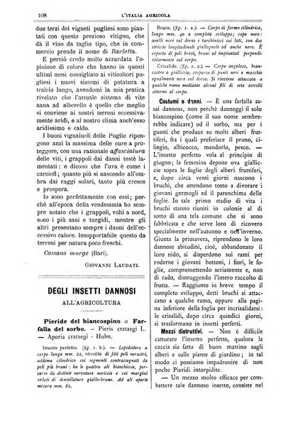 L' Italia agricola giornale di agricoltura