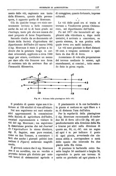 L' Italia agricola giornale di agricoltura