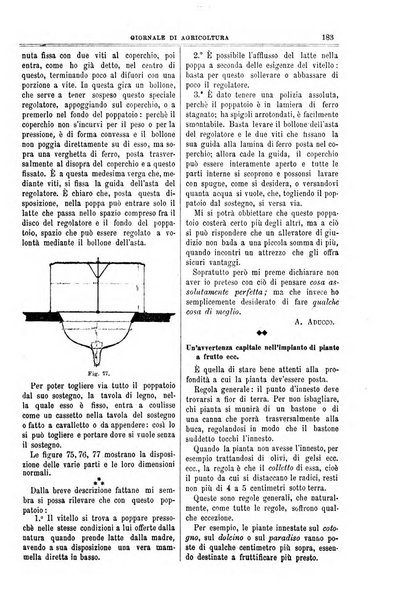 L' Italia agricola giornale di agricoltura