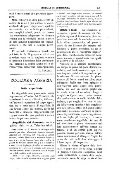 L' Italia agricola giornale di agricoltura