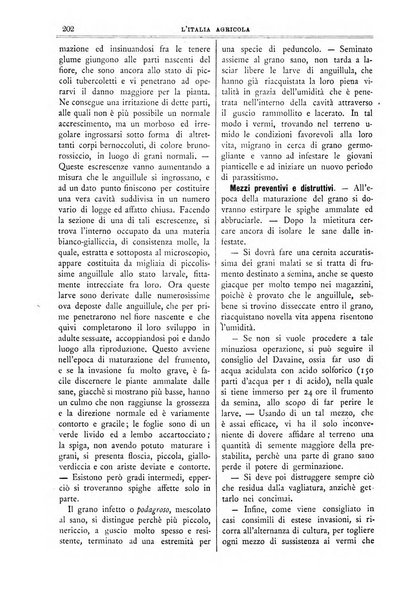 L' Italia agricola giornale di agricoltura