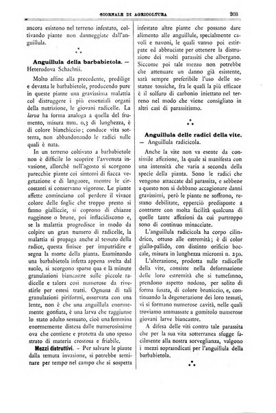 L' Italia agricola giornale di agricoltura