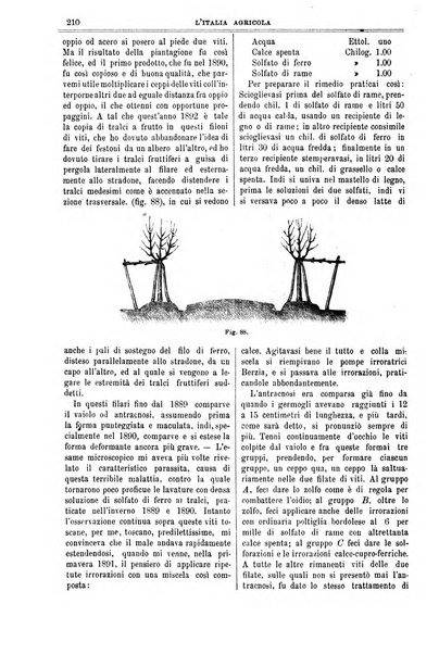 L' Italia agricola giornale di agricoltura