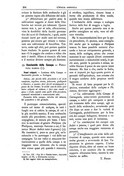 L' Italia agricola giornale di agricoltura