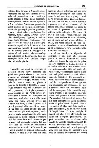 L' Italia agricola giornale di agricoltura