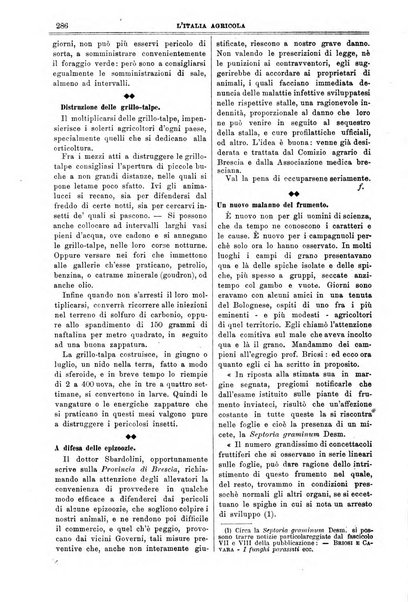 L' Italia agricola giornale di agricoltura