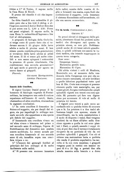 L' Italia agricola giornale di agricoltura