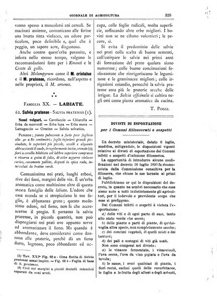 L' Italia agricola giornale di agricoltura