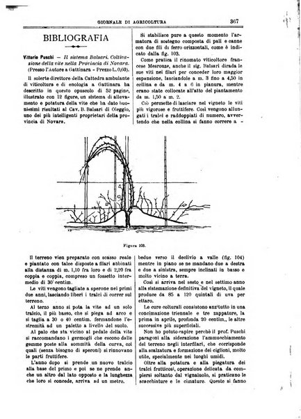 L' Italia agricola giornale di agricoltura