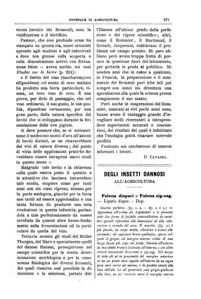 L' Italia agricola giornale di agricoltura