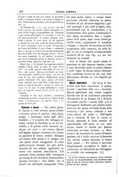 L' Italia agricola giornale di agricoltura