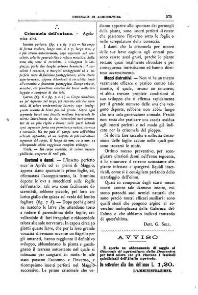 L' Italia agricola giornale di agricoltura