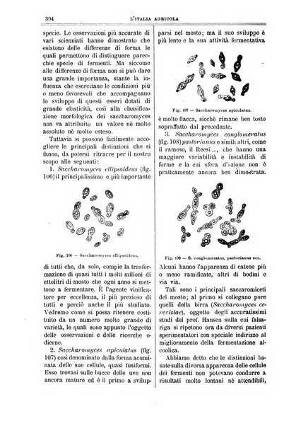 L' Italia agricola giornale di agricoltura