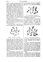 giornale/TO00210416/1892/unico/00000480